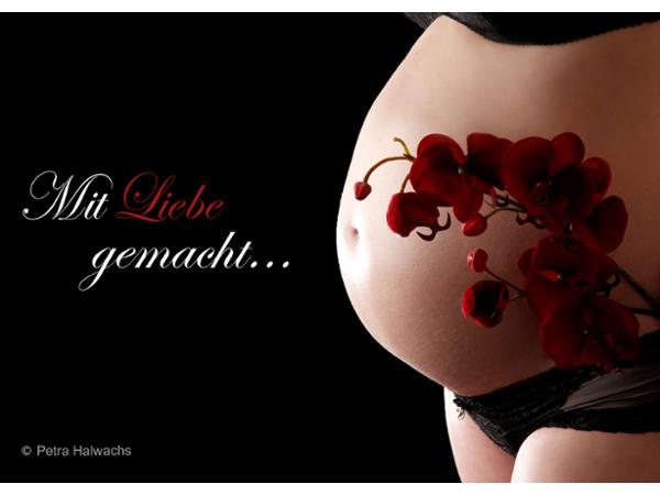 Bild 1 von Fotostudio Petra Halwachs