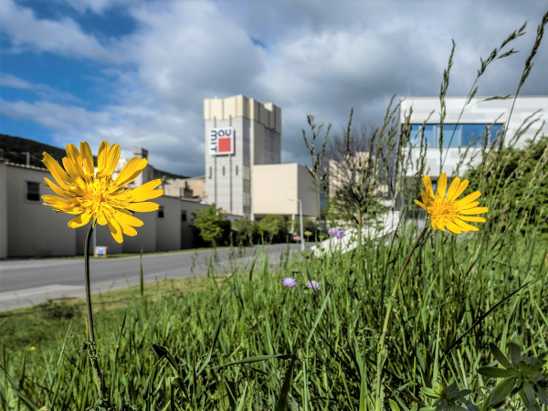 Bild 1 von Baumit GmbH - Zentrale