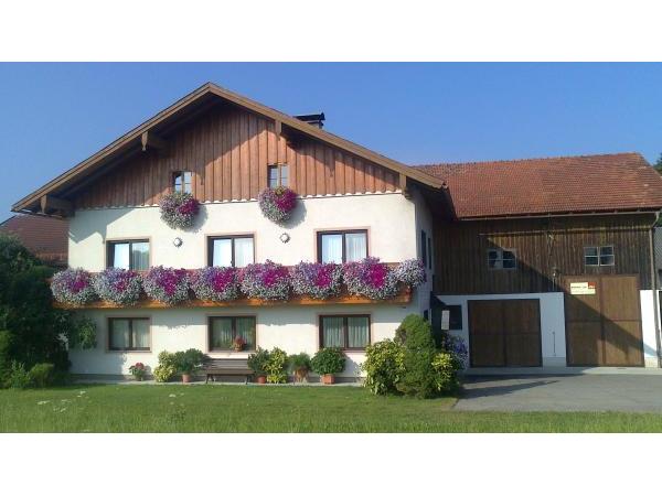 Bild 1 von Jedinger