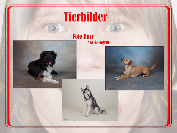 Bild 8 von Foto Dürr