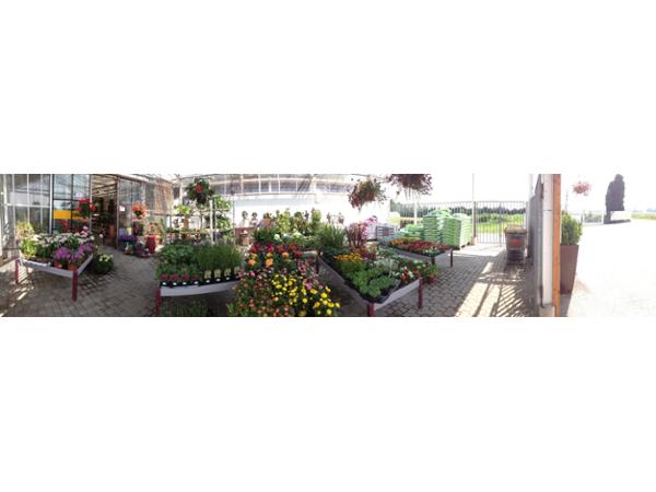 Bild 13 von Blumen Steurer | Ihr Landflorist am URTELHof