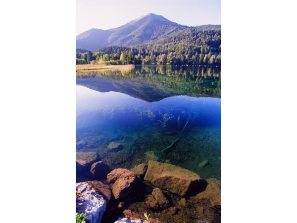 Bild 1 von HARRY S TAUCHSCHULE ERLAUFSEE