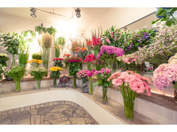 Bild 1 von BLUMEN ROSENROT