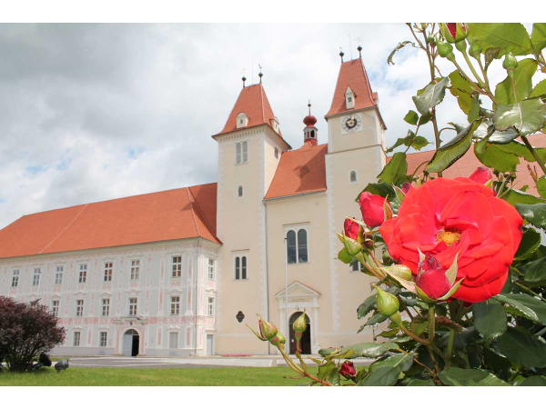 Bild 5 von Tourismusverband Joglland – Waldheimat
