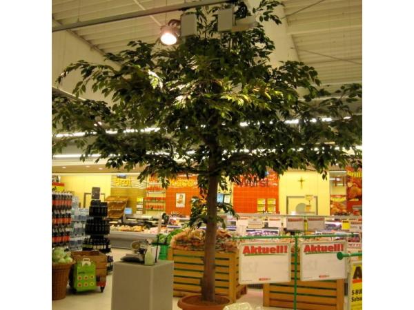 Bild 22 von Tree Design Christian Harb