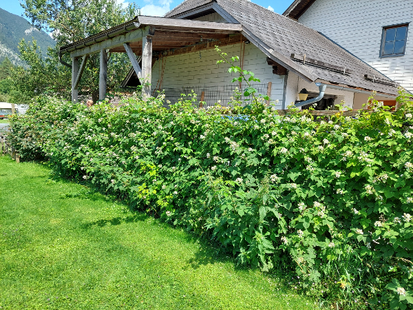 Bild 68 von Haus Christoph