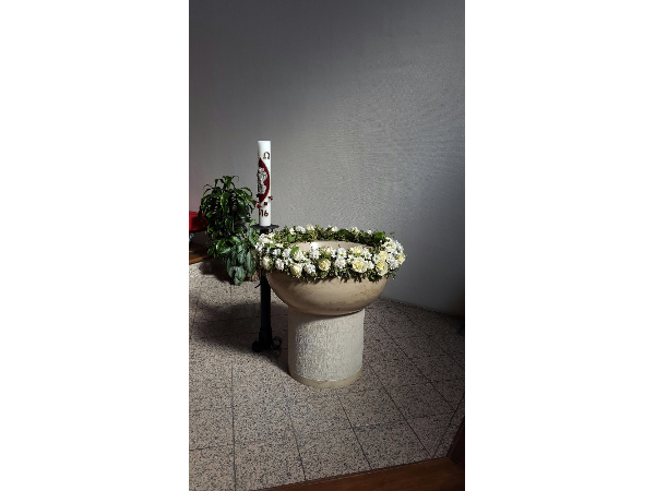 Bild 12 von Seefried Blumenbau GesmbH