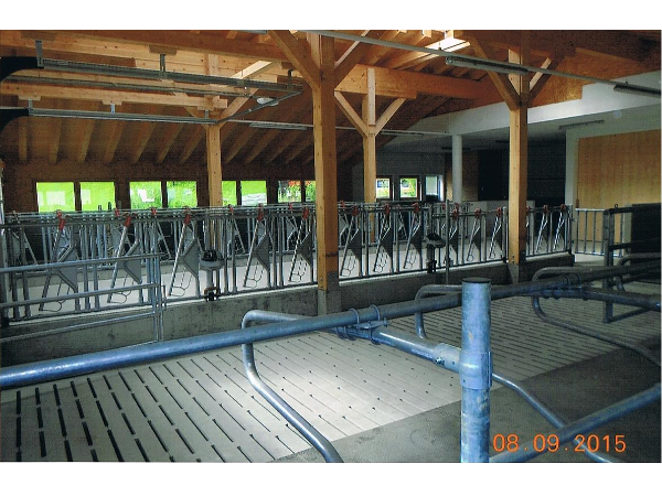 Bild 7 von A&S-Bau GmbH Großarl