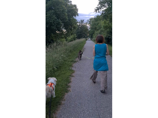 Bild 3 von Like Cats and Dogs Hunde- und Katzenverhaltensberatung Pia Weidinger, MSc