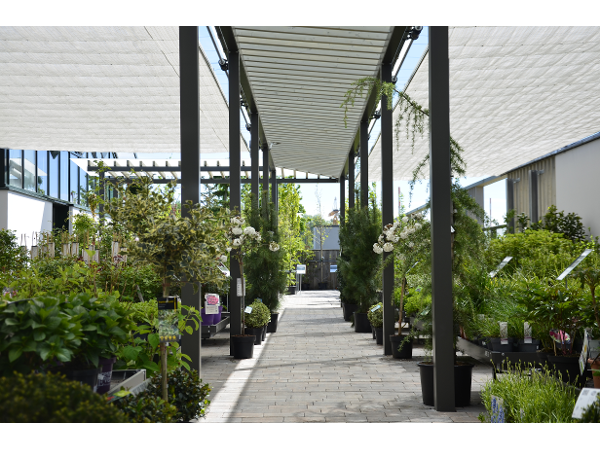 Bild 4 von LANGEDER GmbH garten. leben. wohnen.