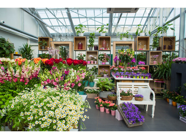 Bild 3 von PENZO Flora Flötzersteig GmbH