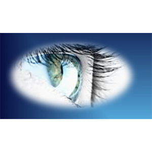 Logo von Aumiller Detektive