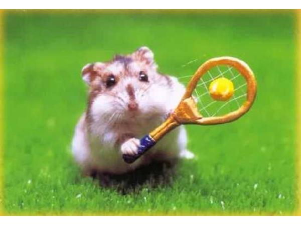 Bild 8 von Hamsterbedarf STRUPPI