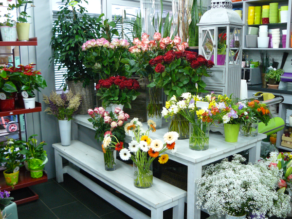 Bild 8 von PENZO Flora Flötzersteig GmbH
