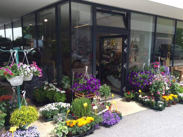 Bild 1 von Blumenecke Patricia