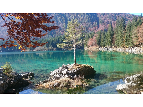 Bild 14 von Blumenhof Elfi , Urlaub am Bauernhof Fam. Mazzarella-Kerschbaumer