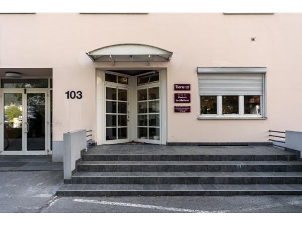 Bild 1 von Dr. Lechleitner Elisabeth