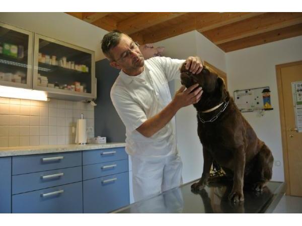 Bild 13 von Dipl. Tierarzt Robert Schatzlmair