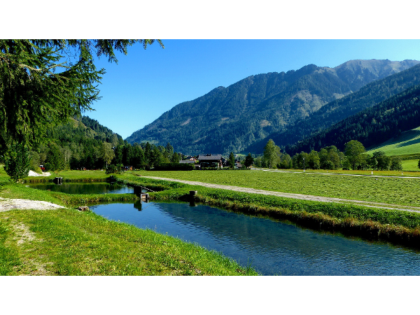 Bild 5 von Gasthof-Pension "Zur Gams" Rüscher Roland