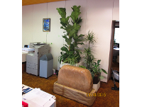 Gartengestaltung Berl