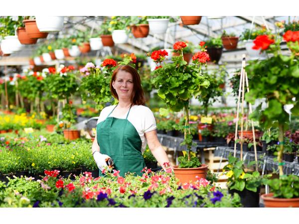 Bild 7 von Blumen Steurer | Ihr Landflorist am URTELHof