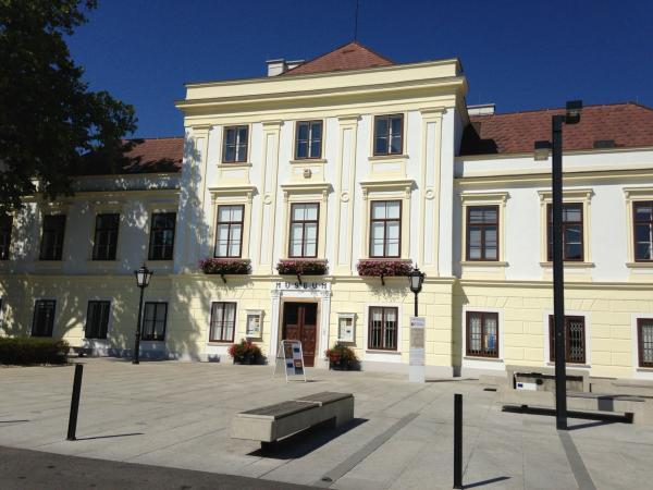 Bild 1 von BEZIRKS-MUSEUMS-VEREIN MÖDLING