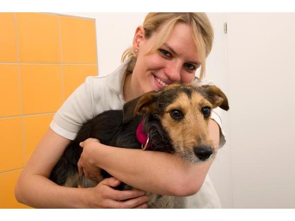 Bild 7 von TIERplus Wien-Stadlau Tierärztliche Ordination, Dr. Irene Pucher-Bühl