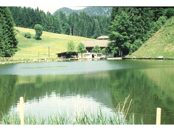 Bild 1 von Gasthaus Moorsee