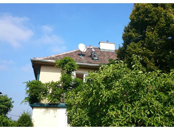 Bild 7 von Komanek GmbH