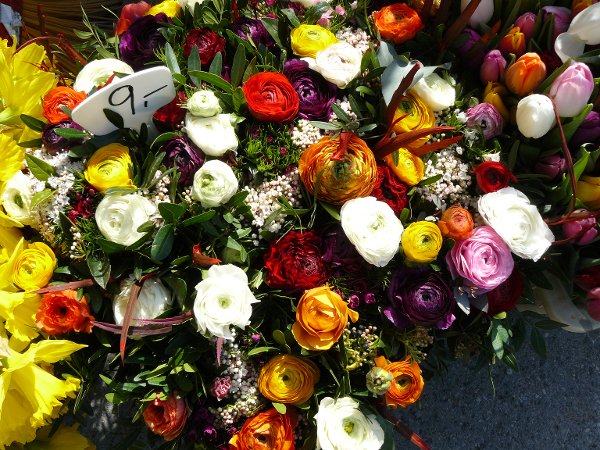 Bild 2 von PENZO Flora Flötzersteig GmbH - Blumenhalle