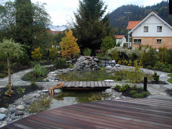 Bild 2 von Markus Luger