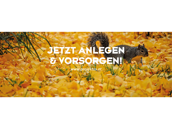 Bild 9 von PROJEKTAS - Feistritzer Hinz GmbH & Co OG