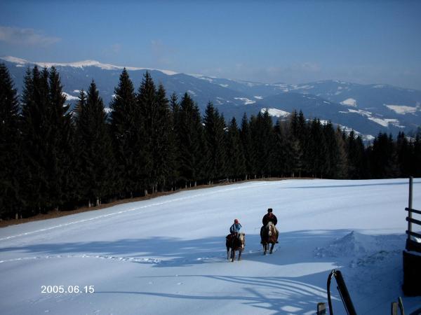 Bild 14 von Reitstall Ponderosa