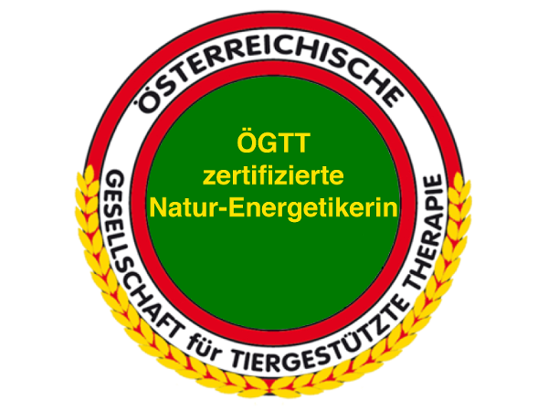 Bild 1 von pfotedrauf.at