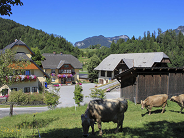 Bild 15 von Pension Glitschnerhof