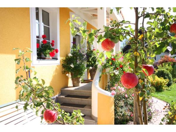 Bild 18 von Villa Klothilde