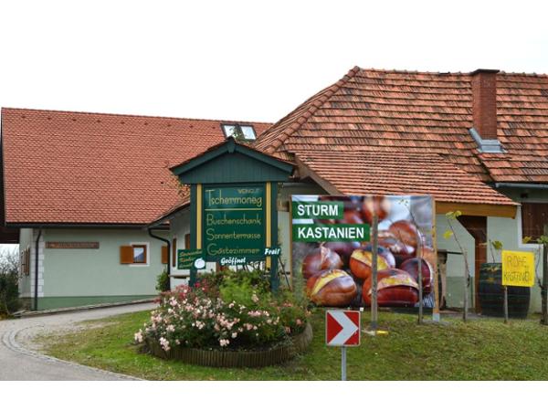 Bild 1 von Weingut Tschermonegg