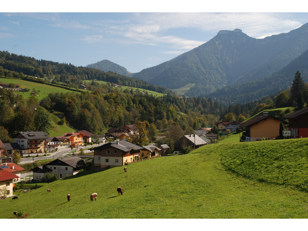 Bild 30 von Reitlhof