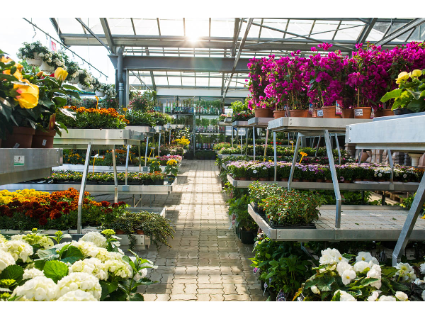 Bild 8 von PENZO Flora Flötzersteig GmbH