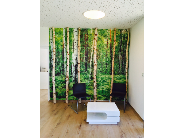 Bild 6 von PZ GmbH