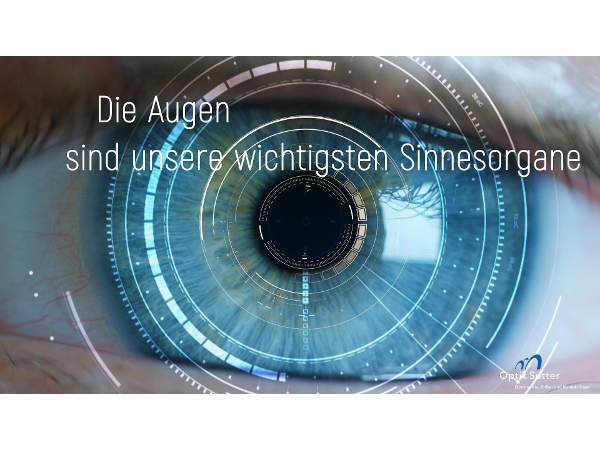 Bild 14 von Optik Sutter e.U.