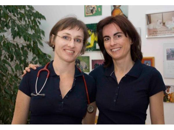 Bild 1 von Dr. Eva Massauer & Dr. Katja Hirschenauer