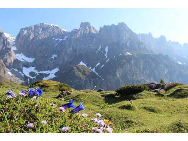 Bild 1 von Alpengasthof Kopphütte