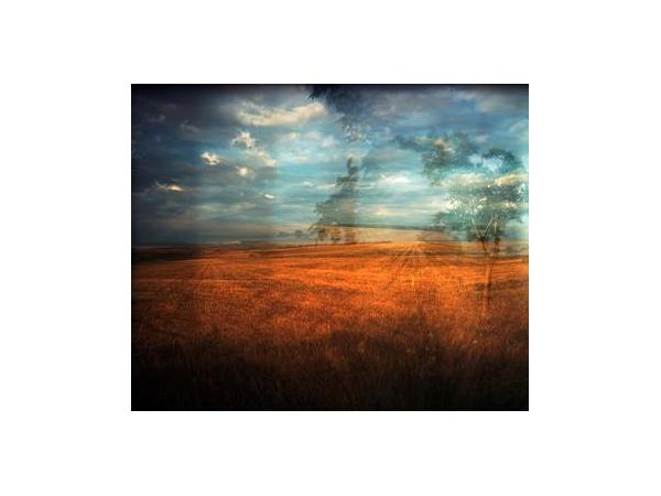 Bild 4 von YOUR[ART]PIX - Katharina Neuwirth