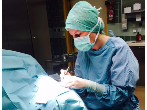 Bild 2 von Augenarzt - Dr. Andrea Rosin-Surkamp