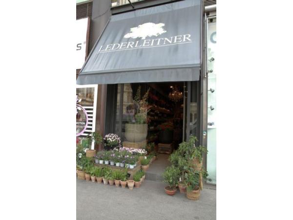 Bild 1 von Markus Lederleitner GmbH - Take Away Wien