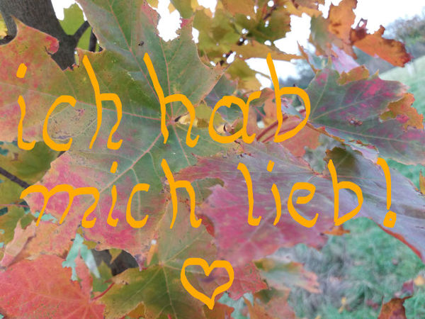 Bild 2 von Mag. Hugl-Seidl Claudia