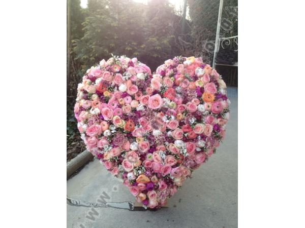 Bild 4 von Blumen Schürer