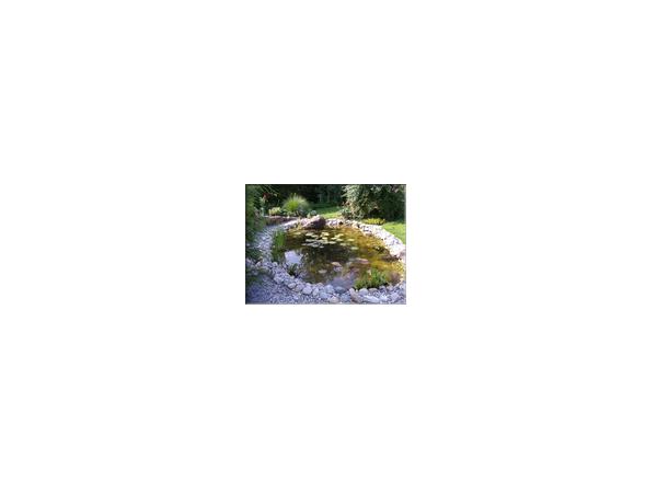 Bild 4 von Garten Gallhammer GmbH - Lust auf Garten