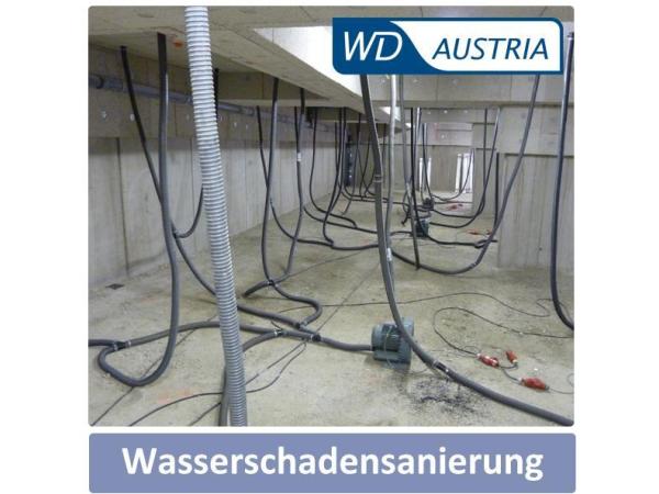 Bild 1 von WD-Austria Internationales Trocknungs-Know-How aus dem Waldviertel